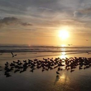 Meet your Posher, Gail